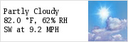 KVDI weather